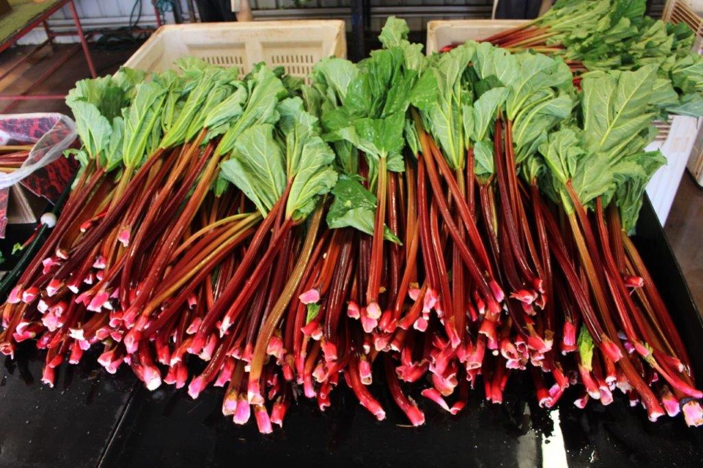 Rhubarb to be Packed