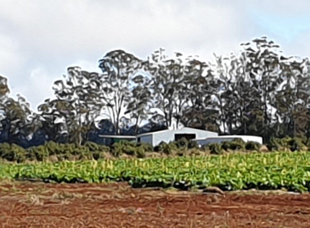 New Farm