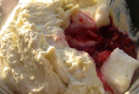 Rhubarb and Gingernut Icecream