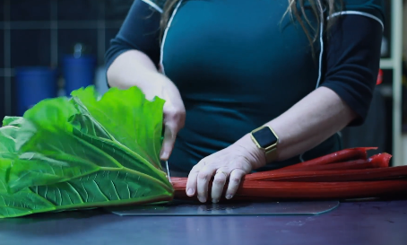 Cooking Rhubarb